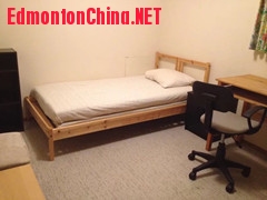 ��׼����2��