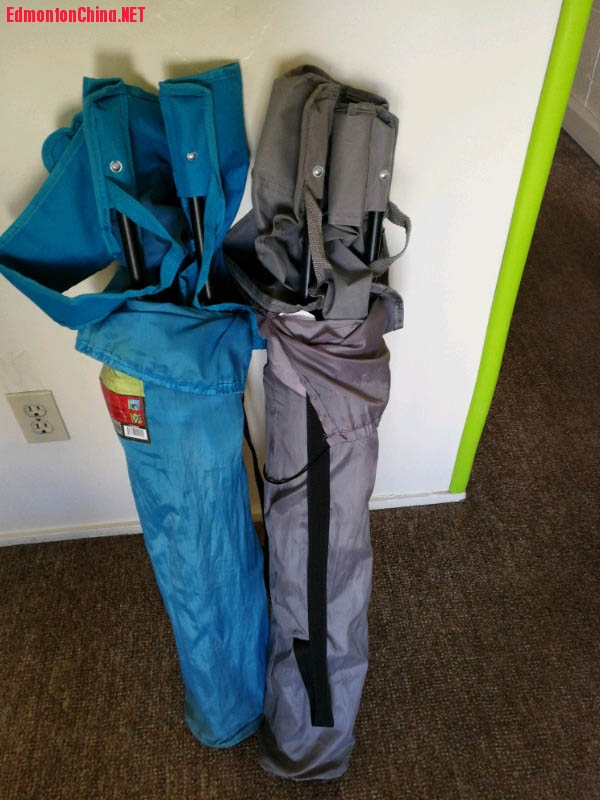 �����������Σ�һ��10��