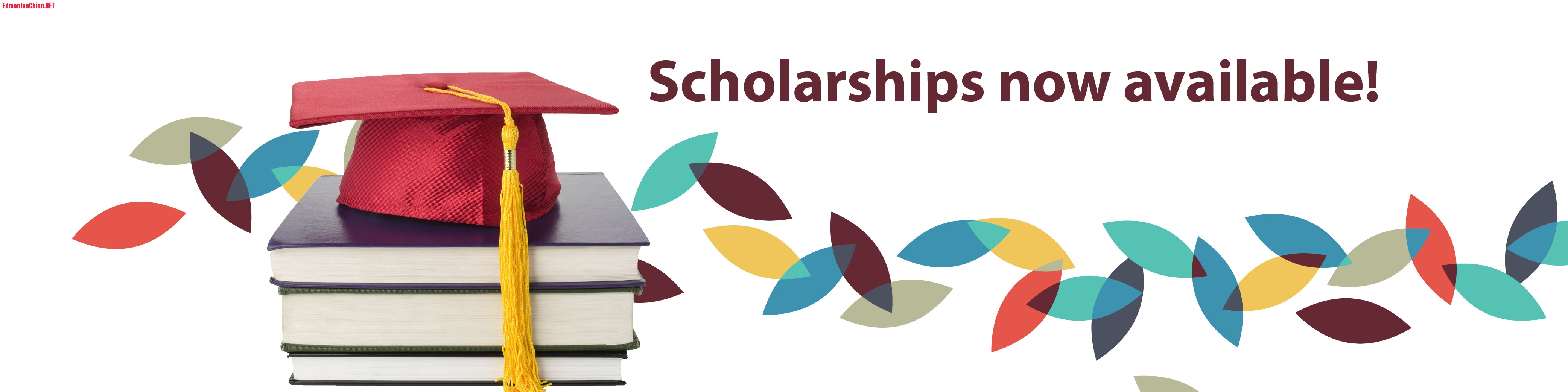 Scholarship Page Banner.jpg
