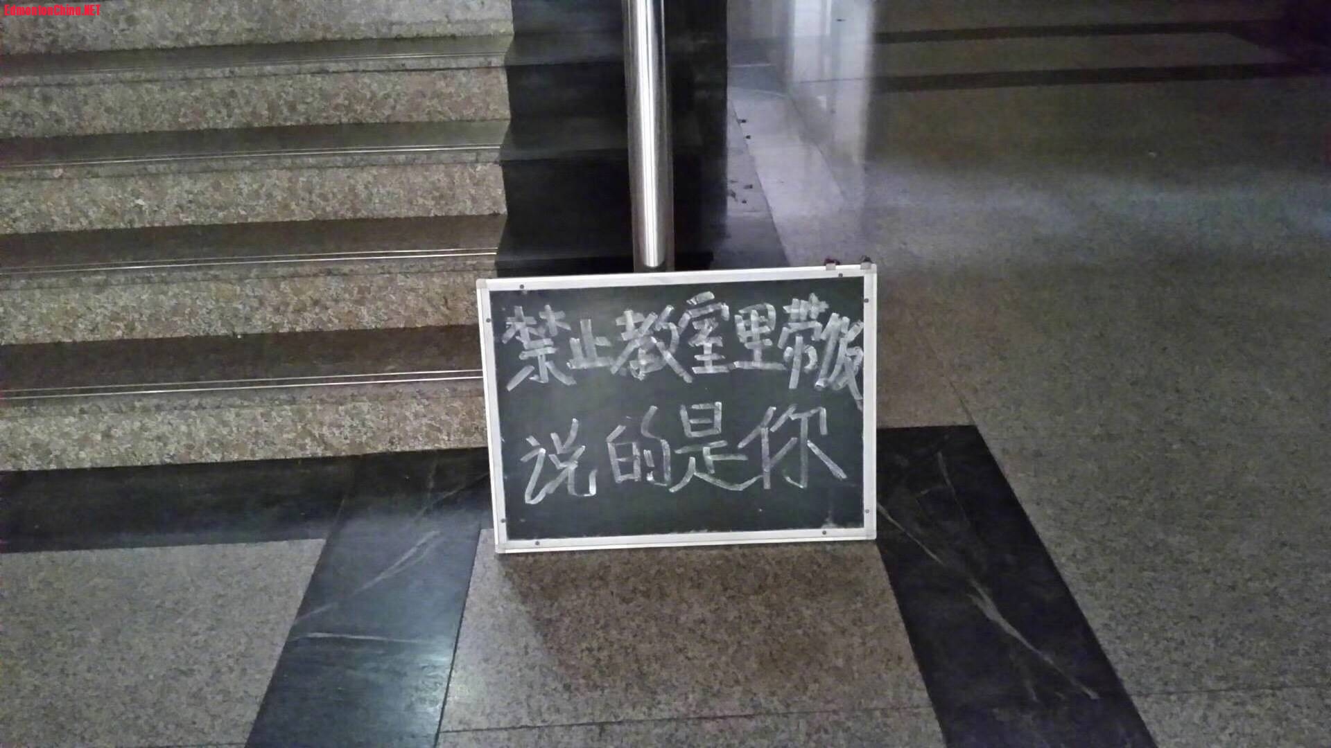 FD54B381-79AE-49DD-90AE-96721A0EE368.jpeg