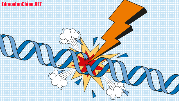 DNA-damage-hero-new-8d4941a65946b70c04ab8d8703b5ed87.png