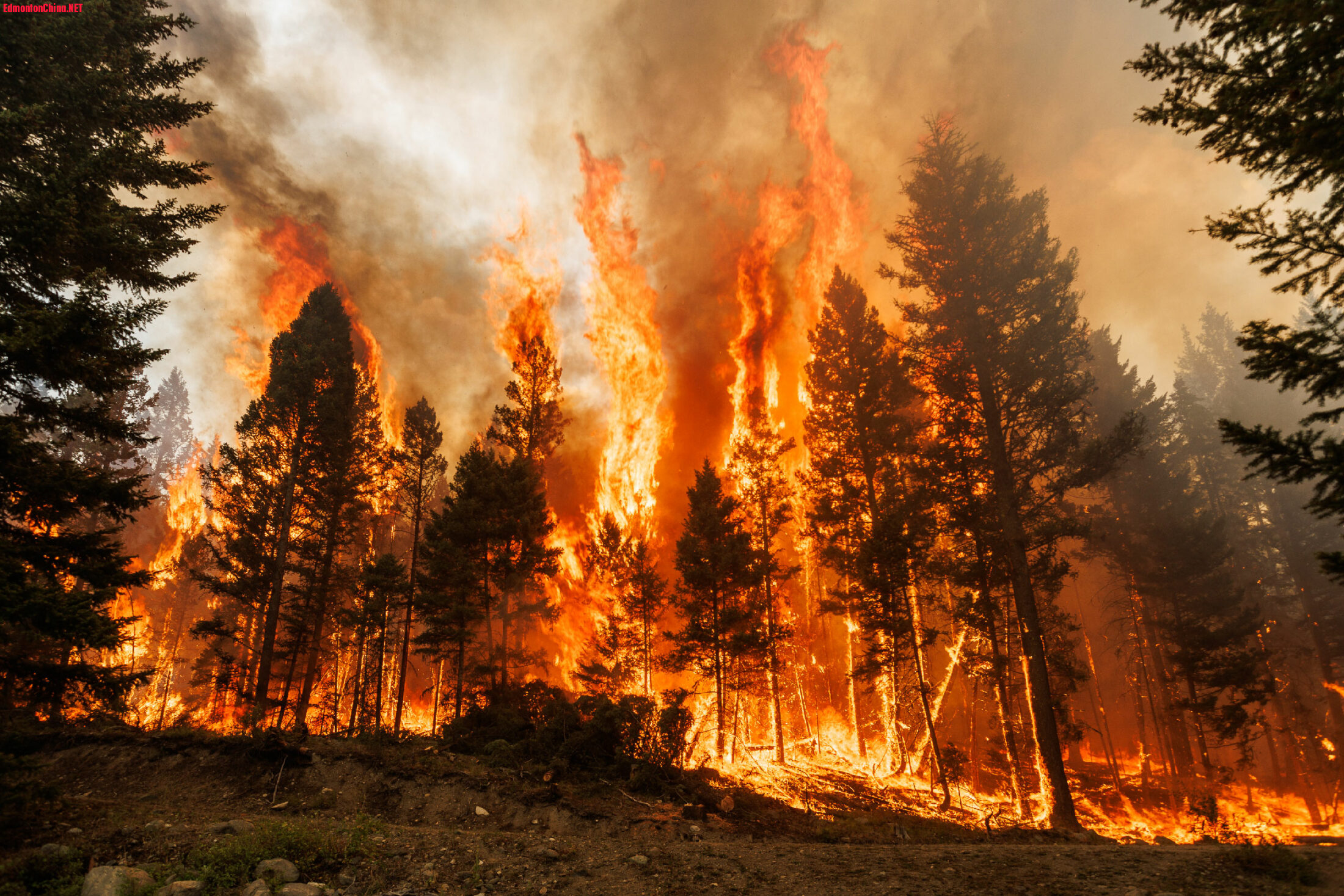 Wildfire_Burnout-21-Winter-2200x1467.jpg