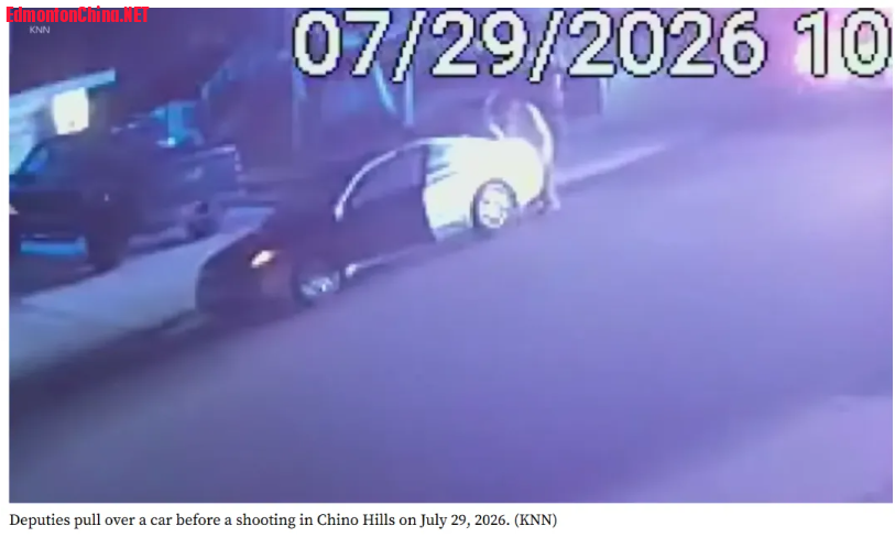 60a2b9e1-aa33-44db-88c9-3824d1c6a330.png