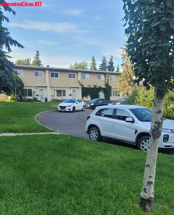 20260730_191116.jpg